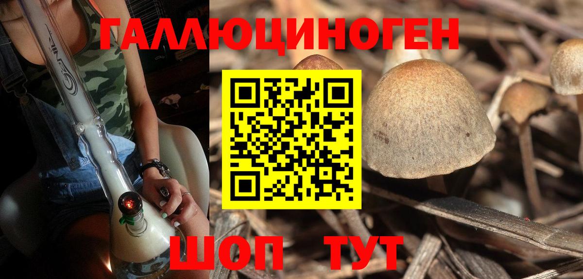 Галлюциногенные грибы прущие грибы Зерноград