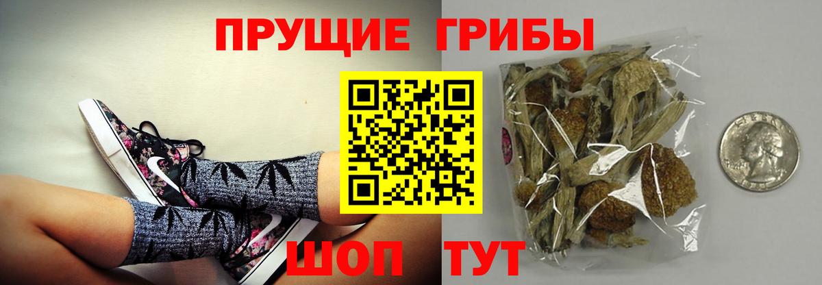 Галлюциногенные грибы мицелий  Псилоцибиновые грибы прущие грибы  Вход с VPN  цены   Зерноград 