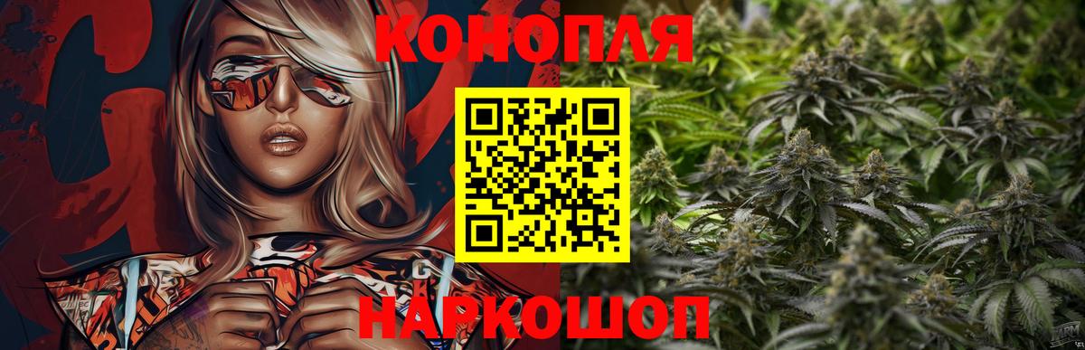Бошки Шишки семена  Вход с VPN  Бошки Шишки Amnesia  Зерноград  Каннабис семена 
